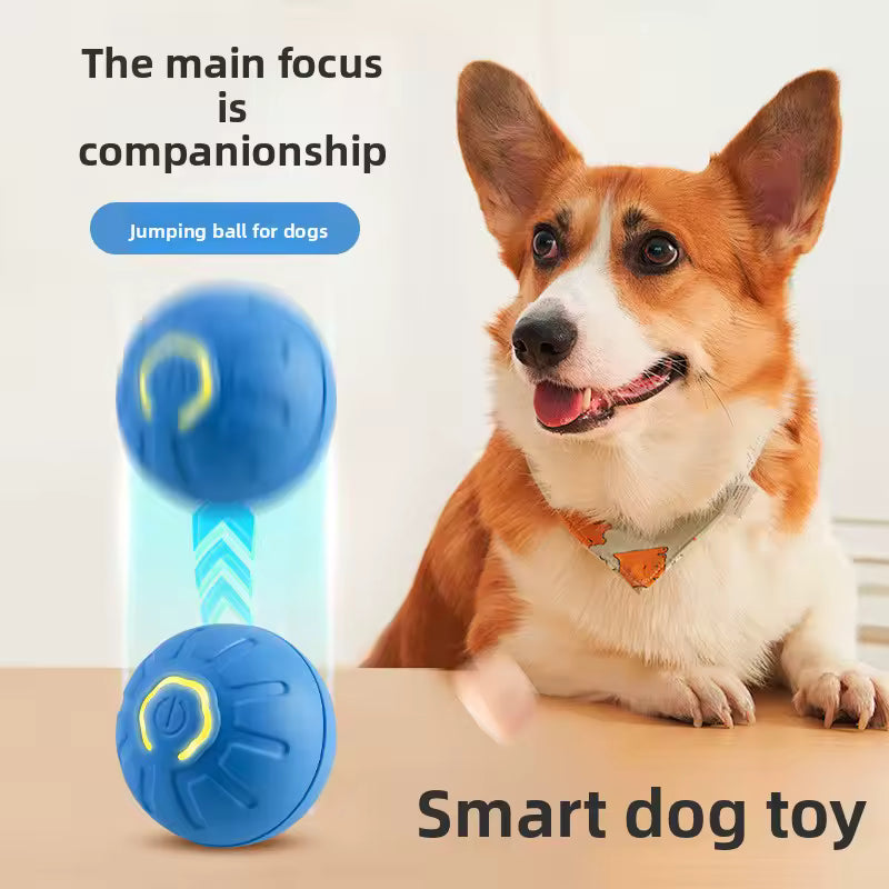 🐶🐈‍⬛ Pelota Interactiva para tu mascota con Movimiento Automático y Luz LED